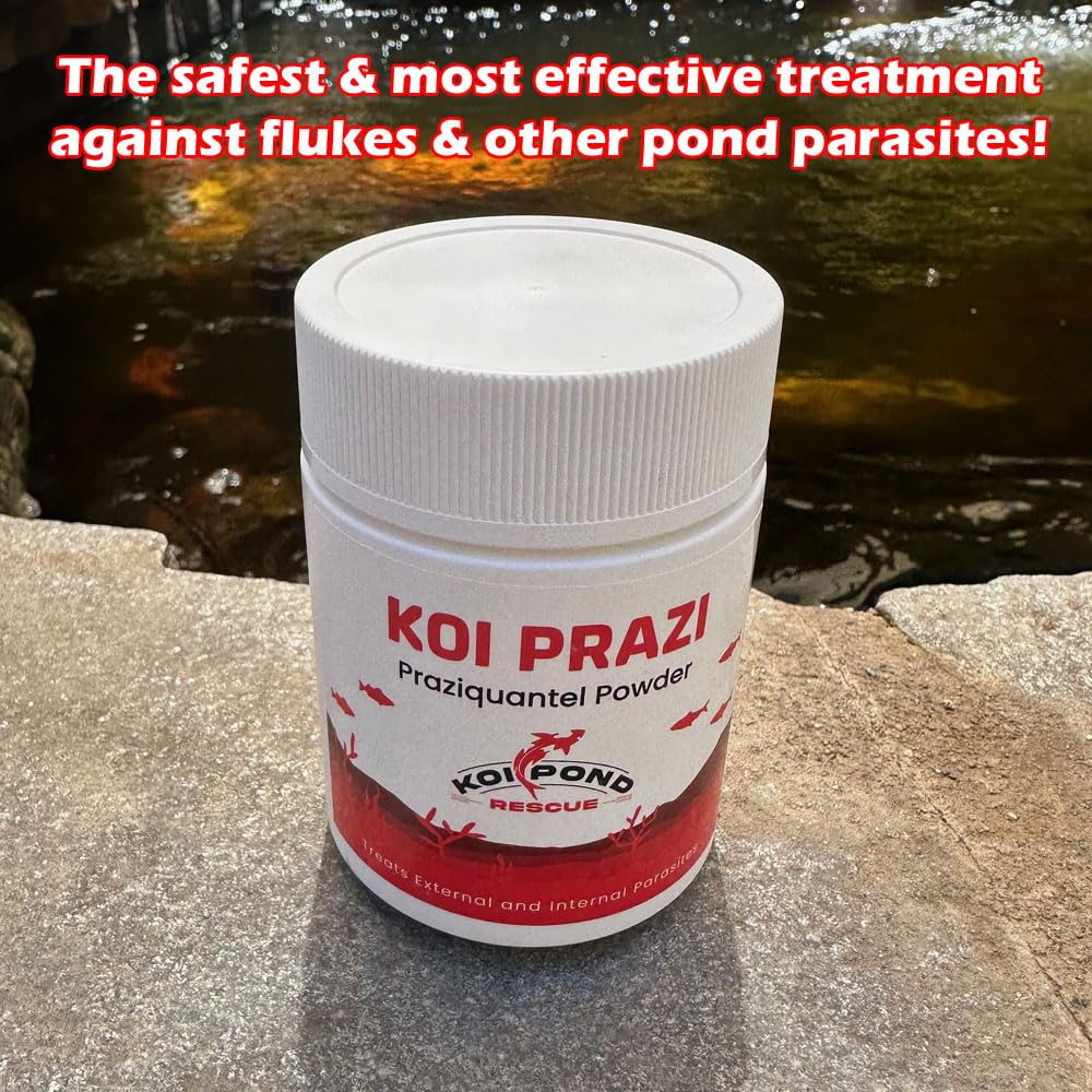 Generic Koi Prazi powder being poured for targeted deworming in aquariums