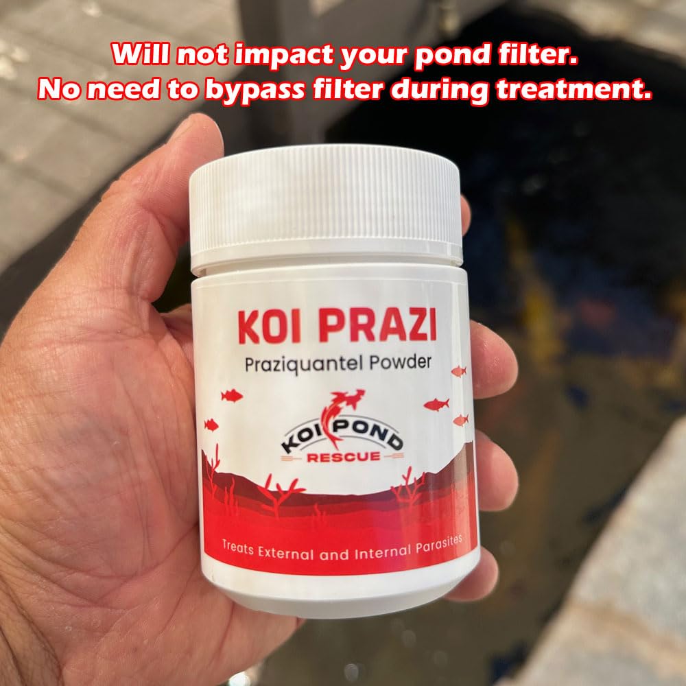 Generic Koi Prazi treatment setup in an ornamental pond environment