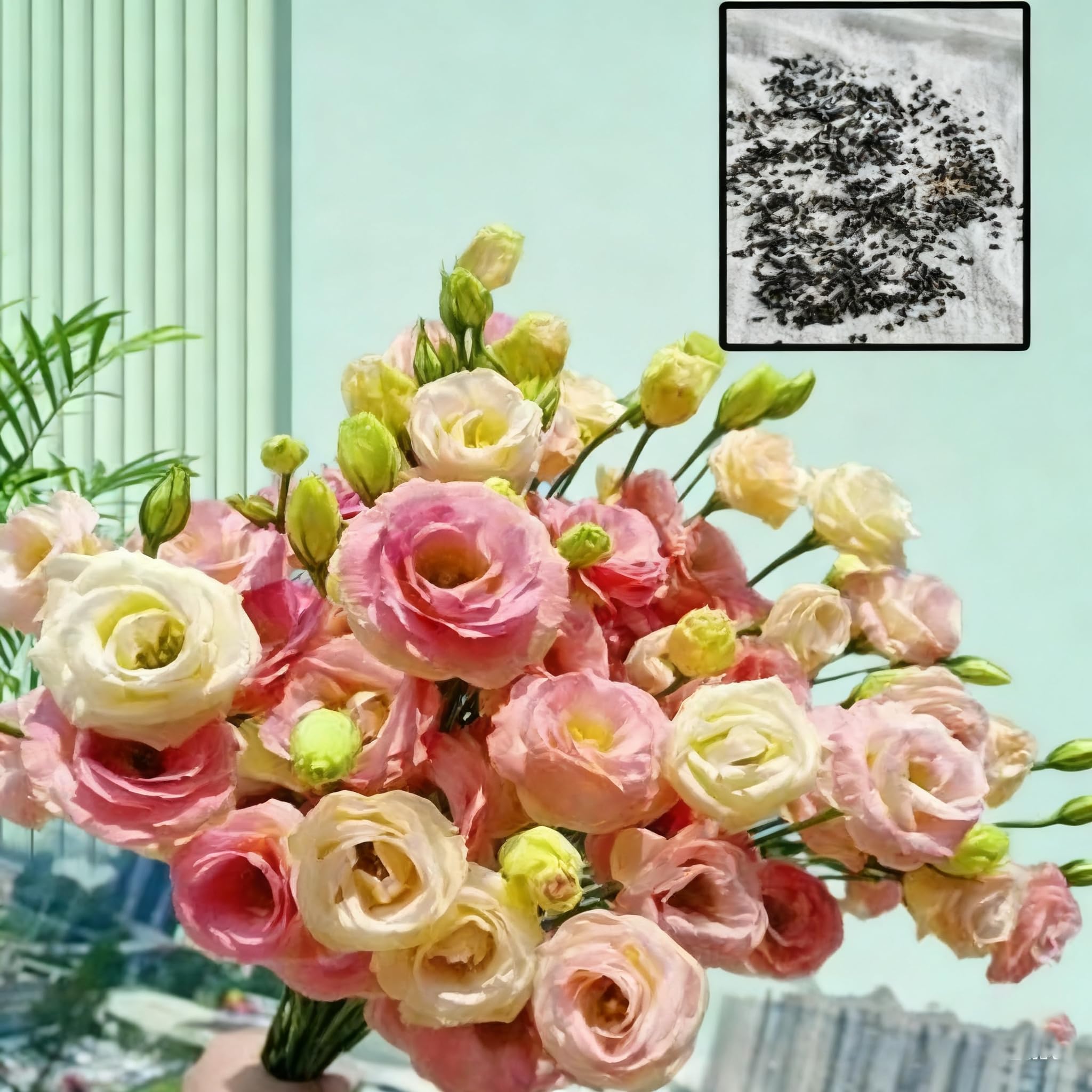 Generic lisianthus seeds patient rewarding project for gardeners.