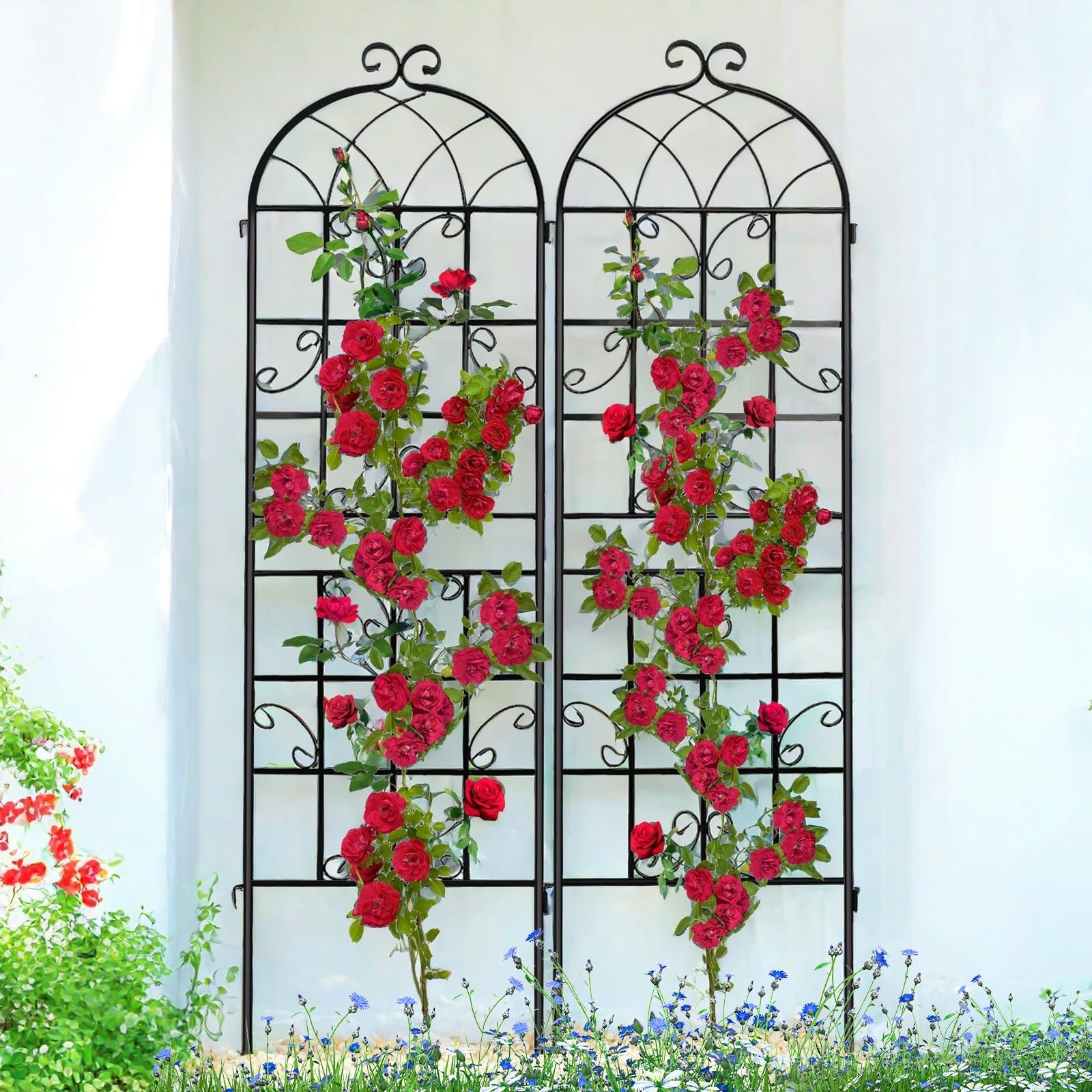 Generic Lorenzo trellis assembly shows quick setup outdoors for climbing plants
