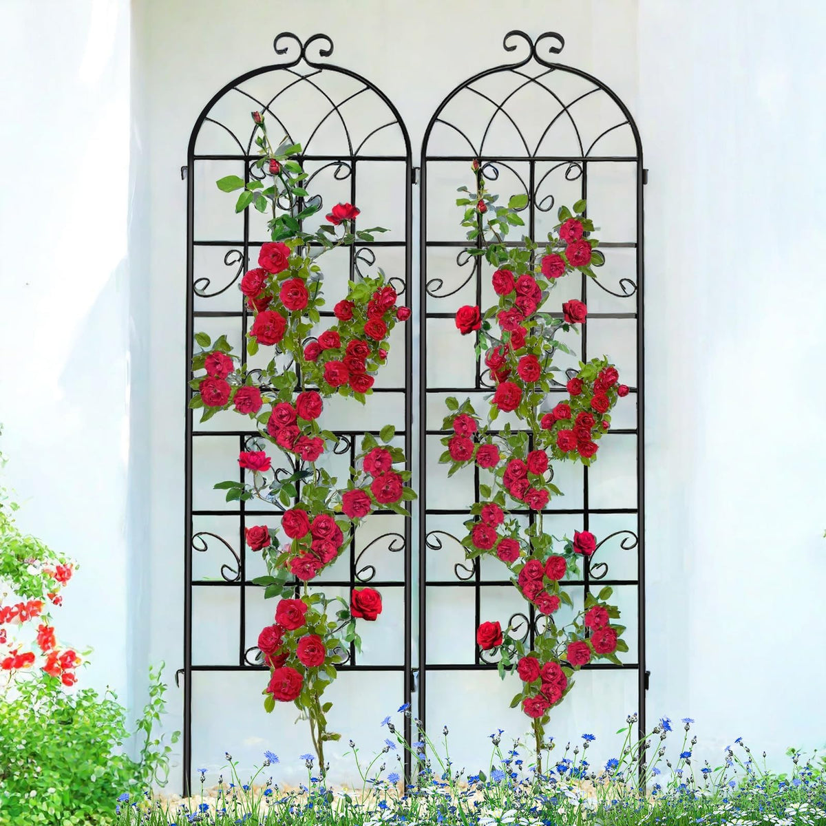 Generic Lorenzo trellis assembly shows quick setup outdoors for climbing plants