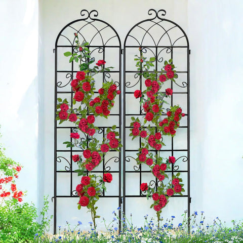 Generic Lorenzo trellis assembly shows quick setup outdoors for climbing plants