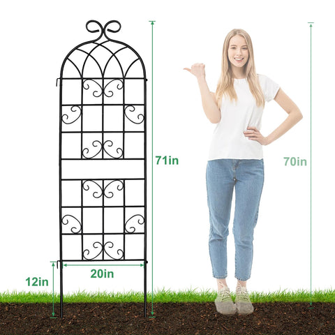 Generic Lorenzo trellis adds decorative lattice to garden or home display
