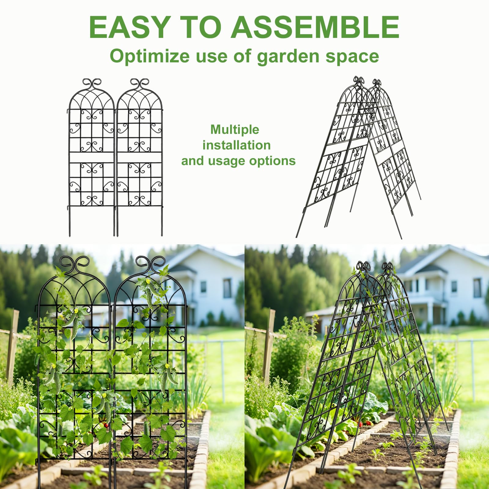 Generic Lorenzo vertical garden trellis supports climbing plants upright