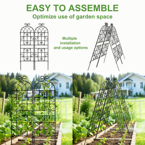 Generic Lorenzo vertical garden trellis supports climbing plants upright