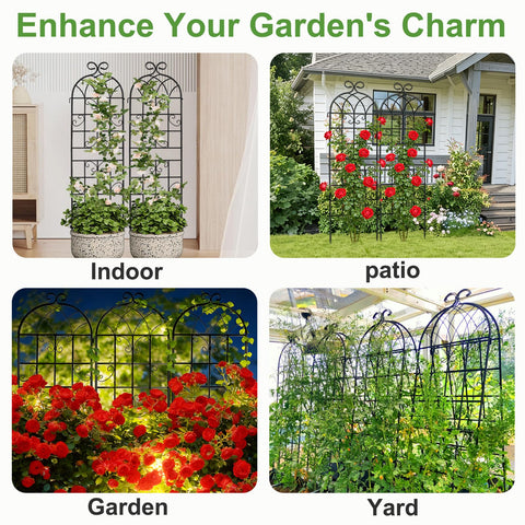 Generic Lorenzo trellis withstands wind and rain in outdoor conditions