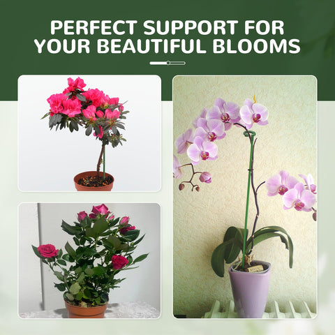 Generic movable clips gently hold stems without damage.