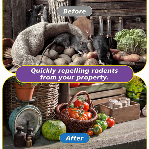 Generic Natural Plant-based Formula offers safe pest deterrence around family.