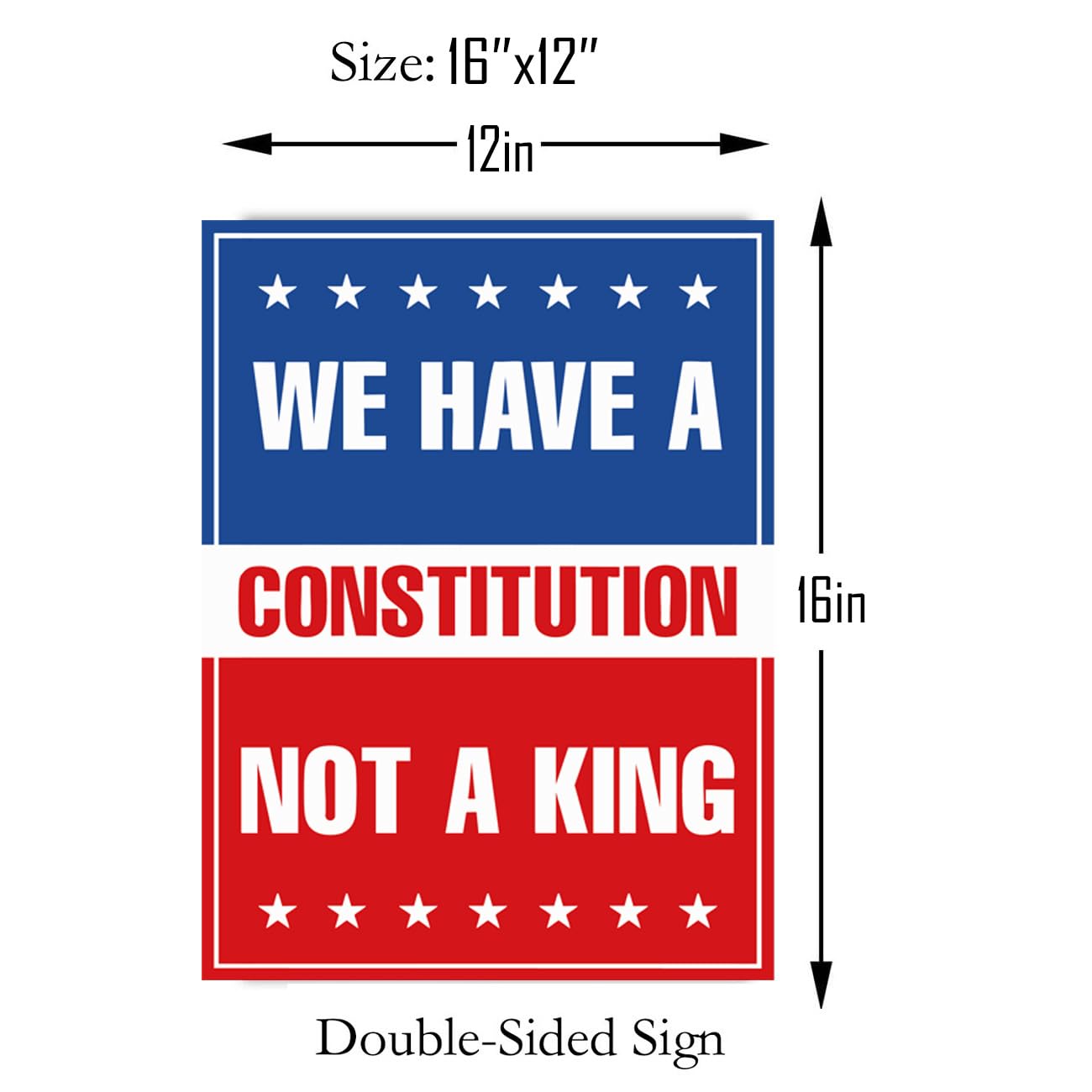 Generic No Kings In America protest sign shows 16x12 dimensions for readability.
