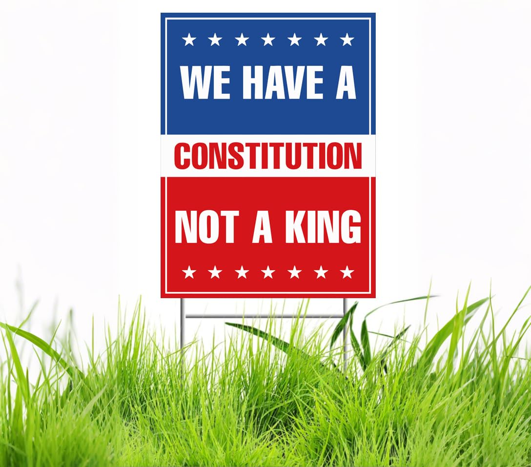 Generic No Kings In America protest sign double-sided print for maximum exposure at rallies.