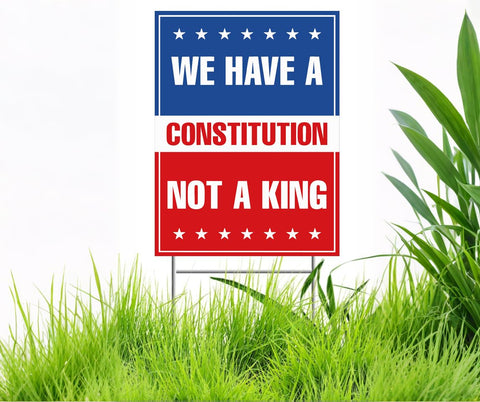 Generic No Kings In America protest sign front view with bold messages for high visibility.