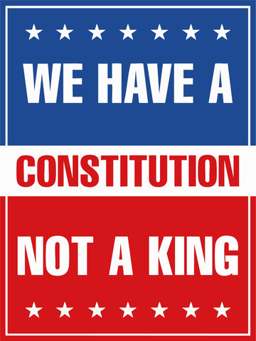 Generic No Kings In America protest sign in use at yard or park demonstrations.