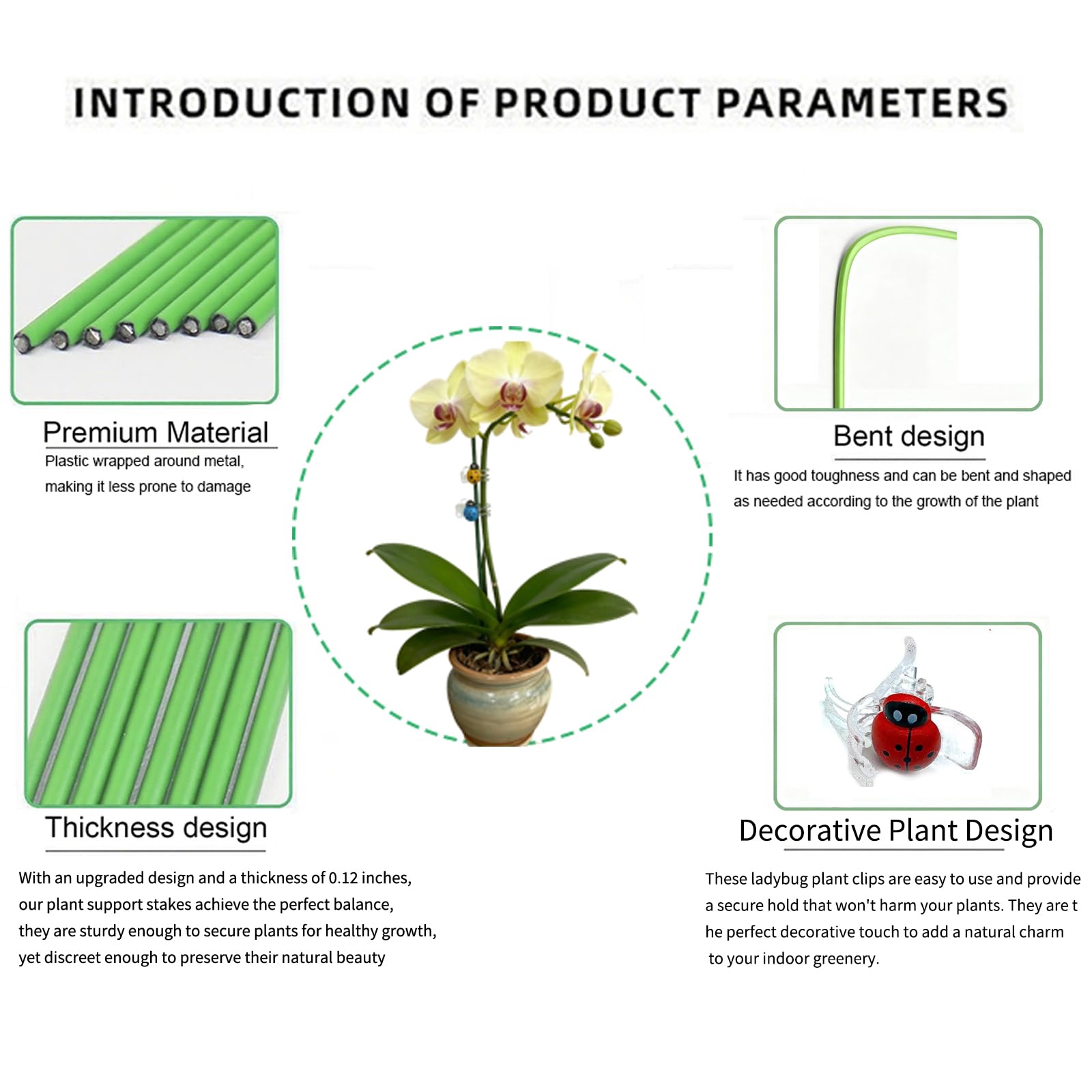 Generic orchid stakes provide vertical support for upright growth.