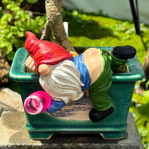 Generic outdoor dwarf garden statue decor boosts yard character in all weather