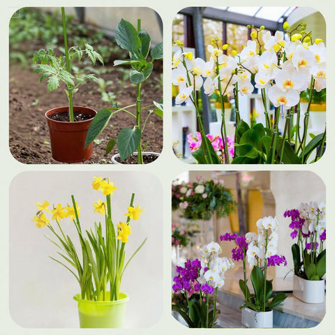 Generic stakes help outdoor plants withstand wind and rain.