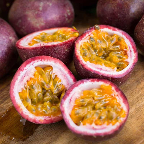 Generic passion fruit seeds soak before sowing for better germination
