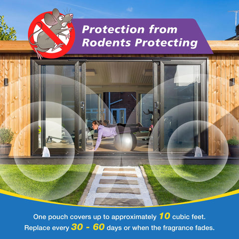 Generic Peppermint Lemon Oil Scent provides a strong, refreshing odor to repel rodents.