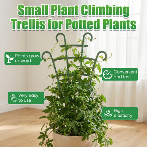 Generic plant support measuring 10 by 6 inches for common climbers