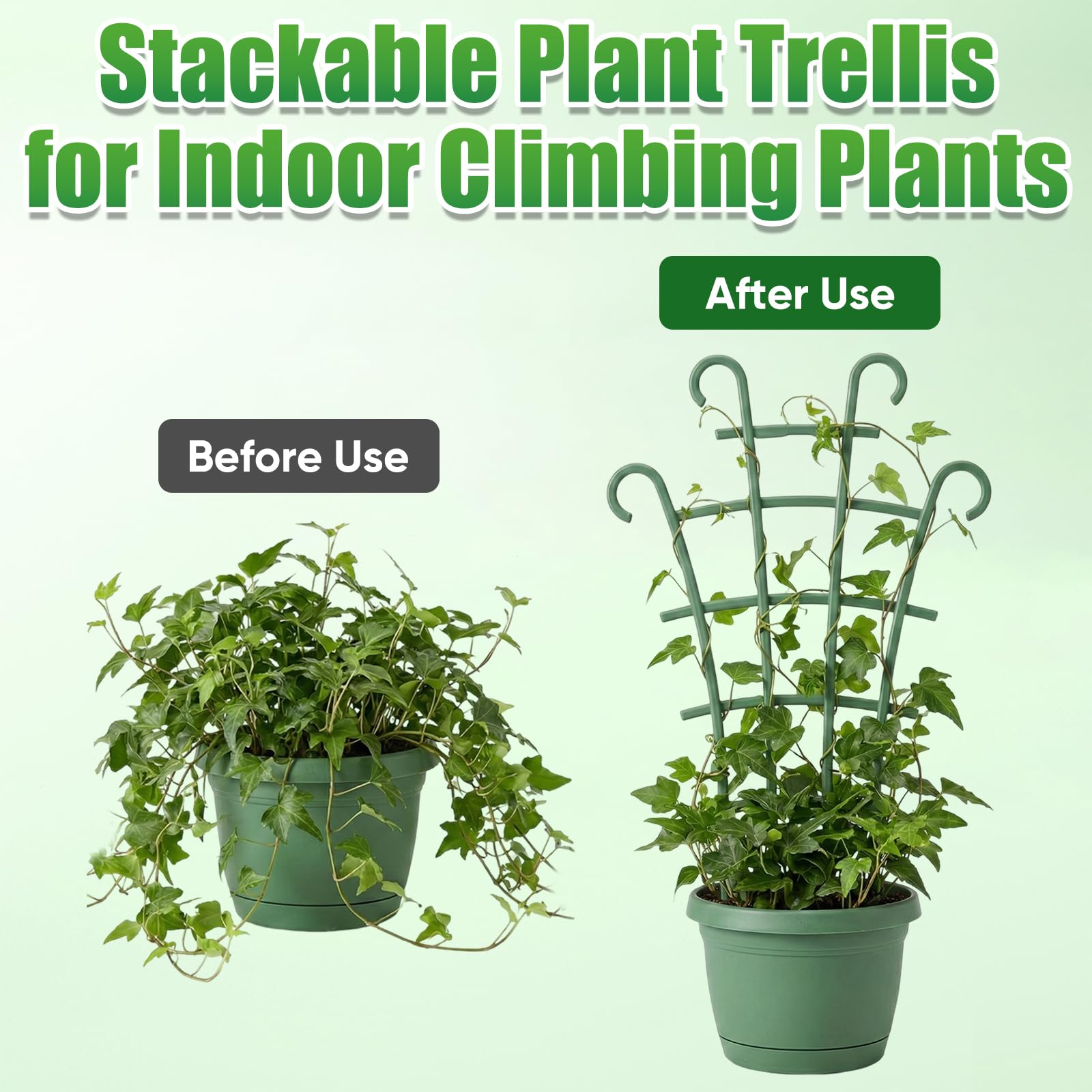 Generic small plastic trellis designed for indoor plant support