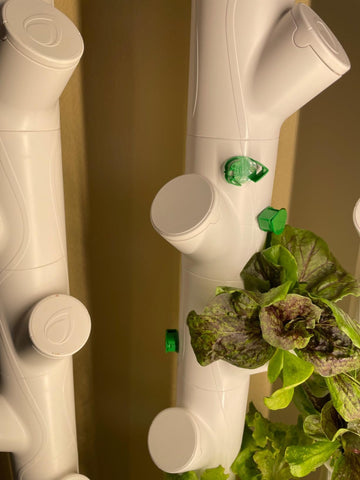 Pod Caps help manage growth around the yPod with a shielded top.