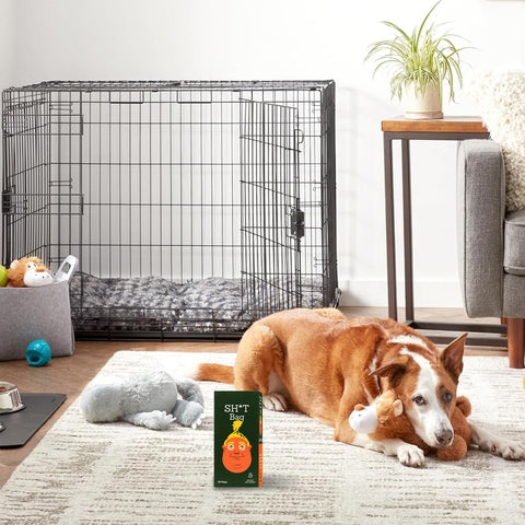 A playful gag gift with practical cleaning utility.