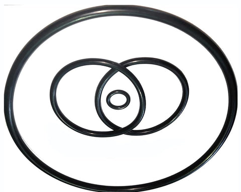 Generic PS-200 O-ring rebuild kit improves seal integrity against chlorine.
