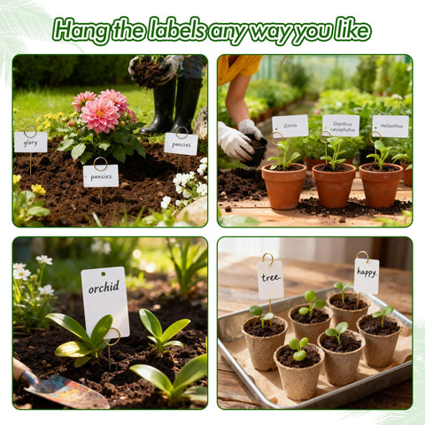 Generic rounded-edge stakes keep labels safe