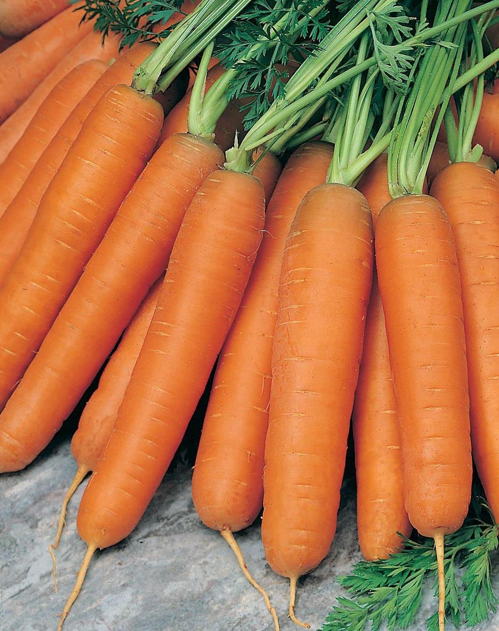 Scarlet Nantes carrots ready to flavor meals in the kitchen