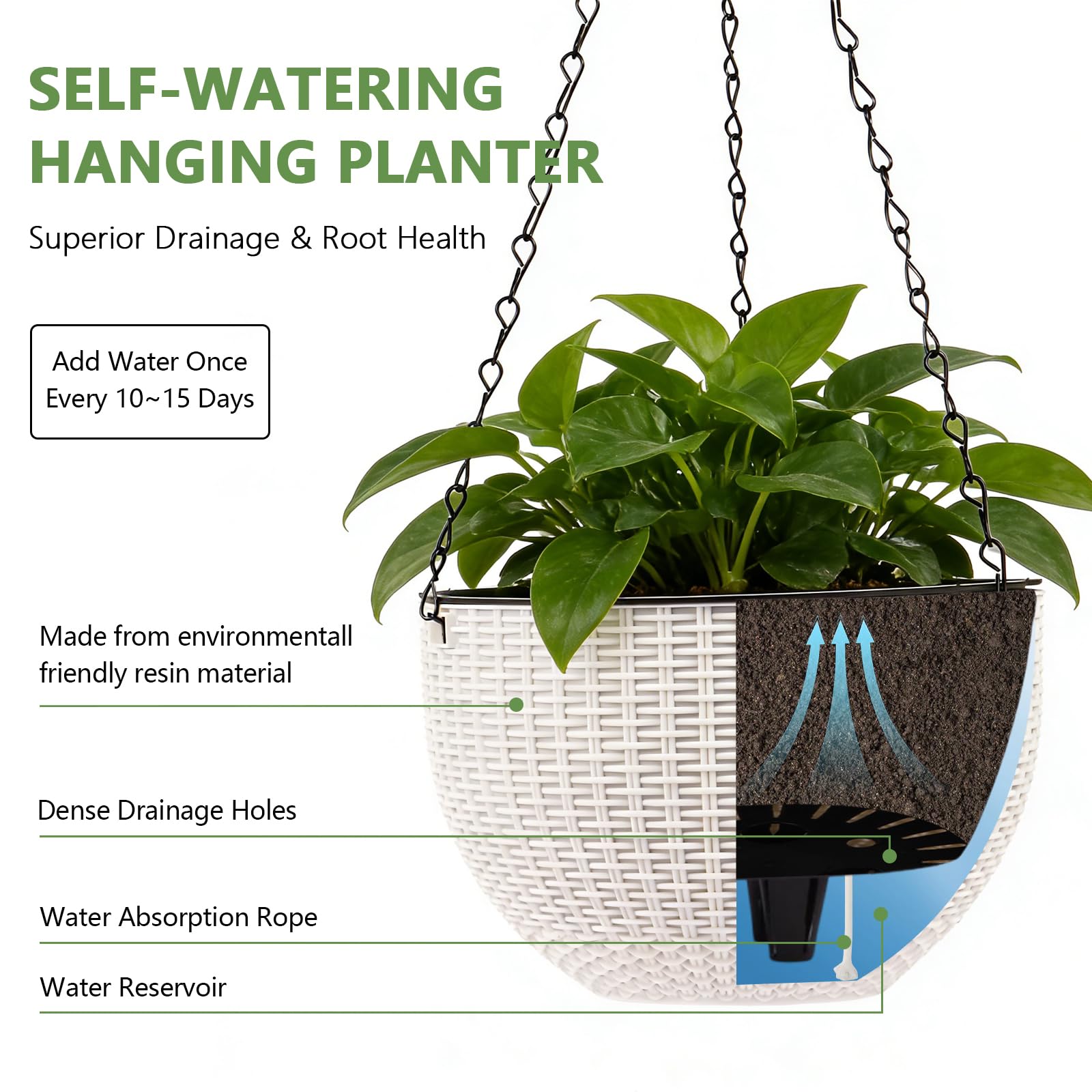 Generic self-watering hanging planter inner tank view for low-maintenance watering.