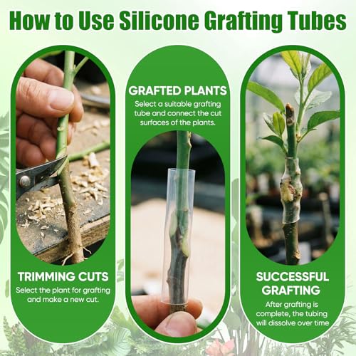 Soft silicone texture cushions delicate graft unions during healing