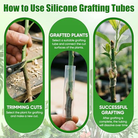 Soft silicone texture cushions delicate graft unions during healing