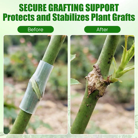 Tool-free setup enables quick grafting for home gardeners