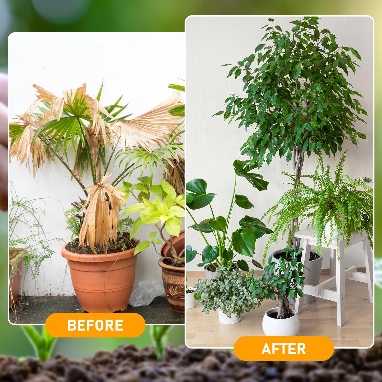 Generic soil activator sprinkling on soil shows simple surface application