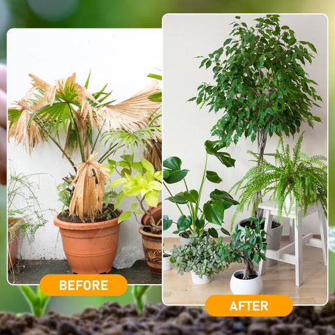 Generic soil activator sprinkling on soil shows simple surface application