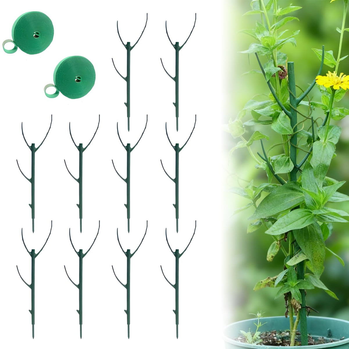 Generic stackable monstera plant support poles stabilizing a tall indoor plant