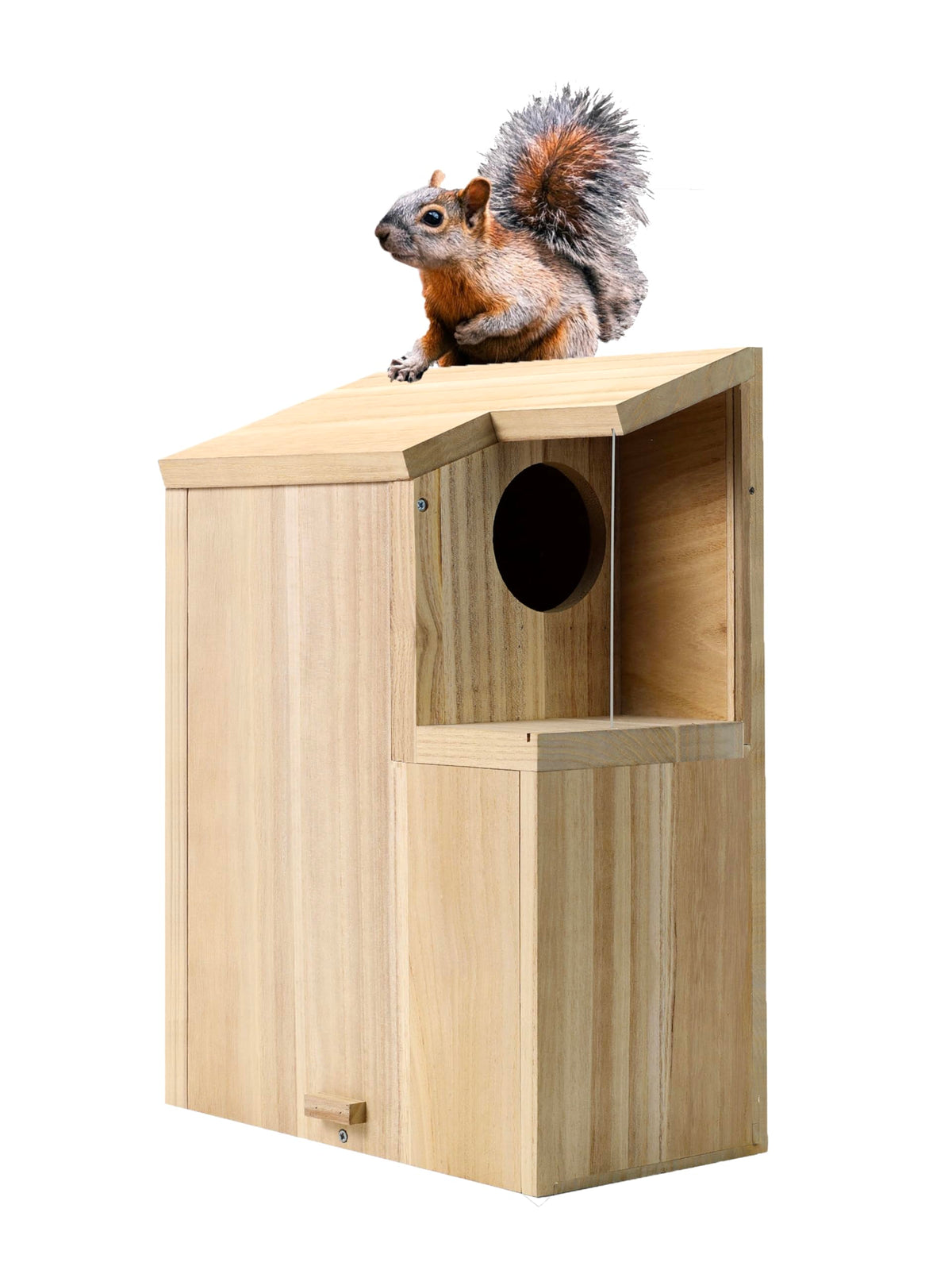 generic Sundia large squirrel house front view shows sturdy pine and coating for weather resistance
