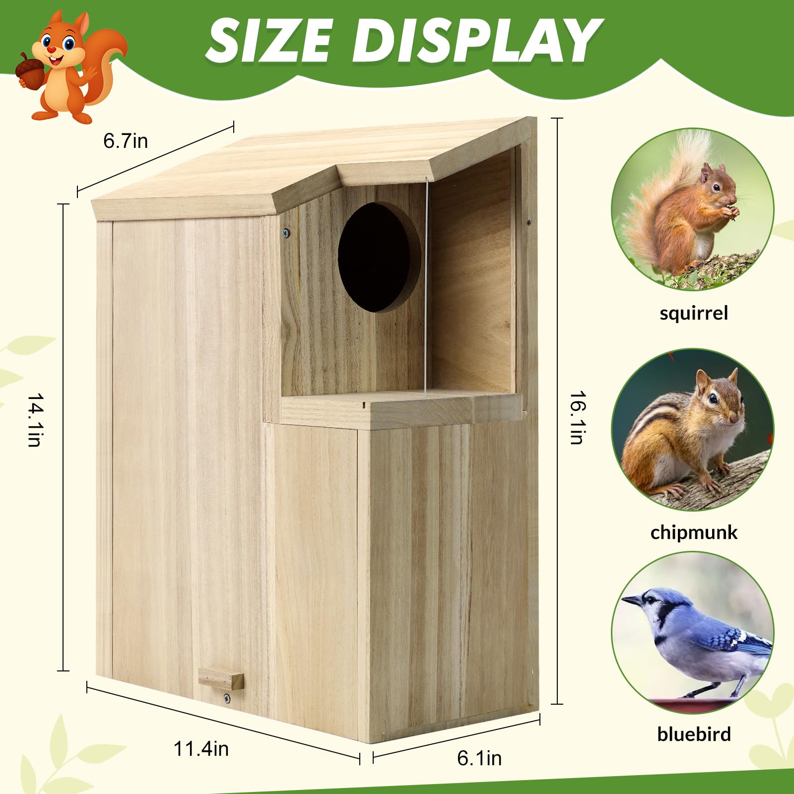 Sundia large squirrel house interior nesting space for a family