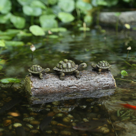 Versatile decor for ponds, aquariums, terrariums, or desktops.