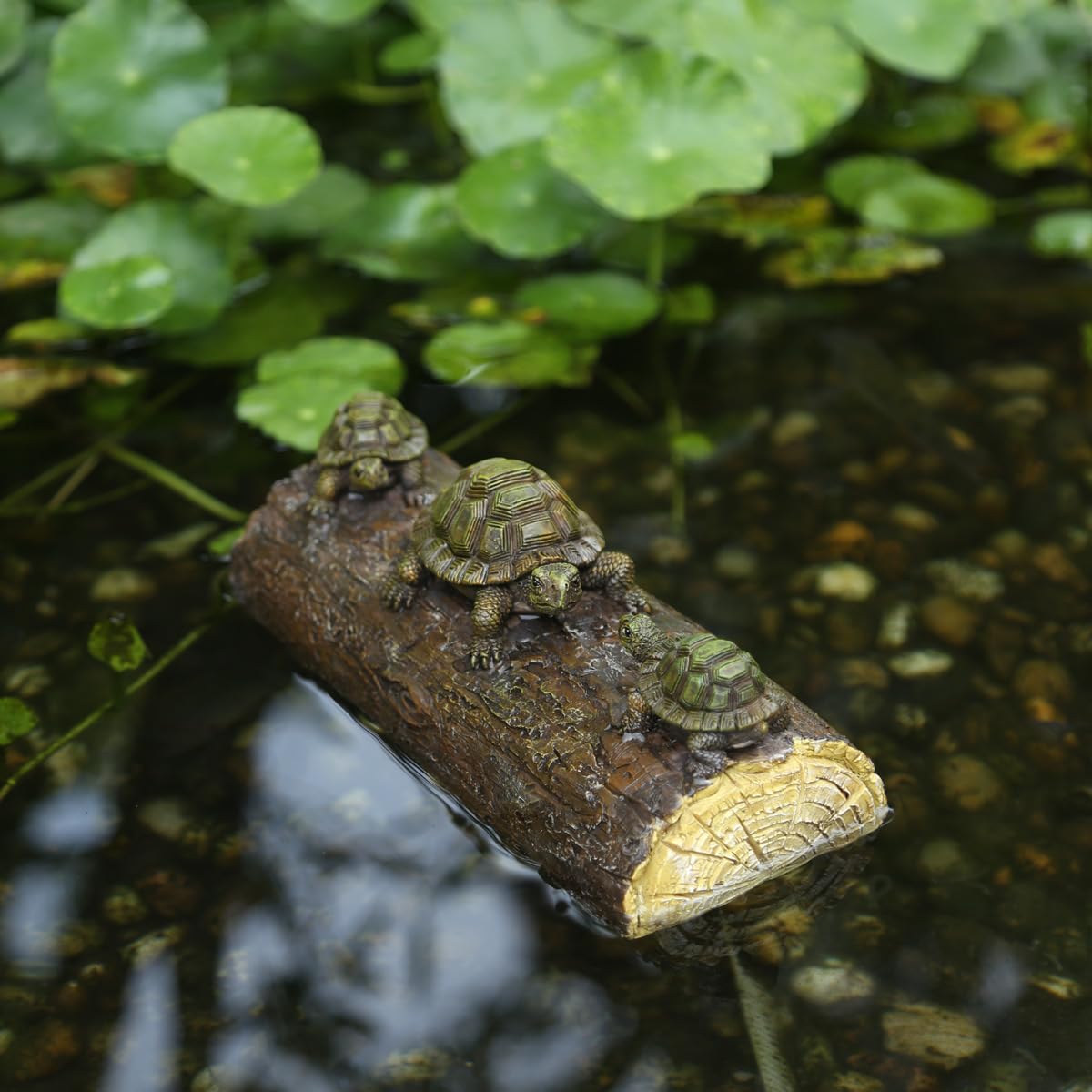 Close-up shows detailed shell patterns on the resin turtles for lifelike appeal.