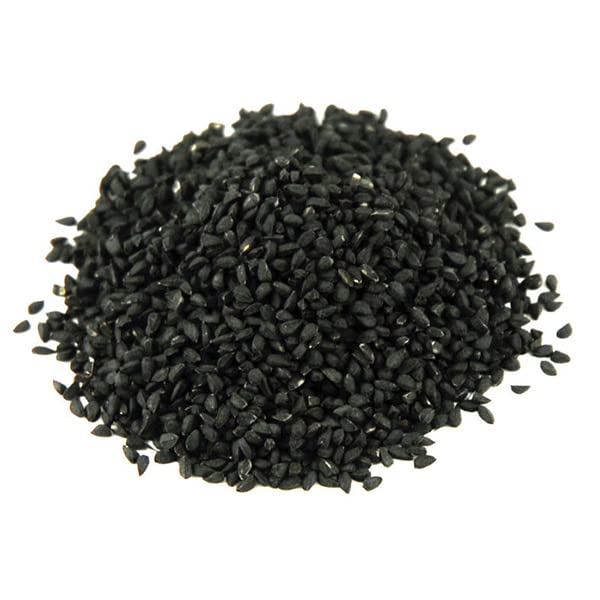 Generic Tokyo Long White Bunching Onion Seeds in soil, thriving for quick greens harvest.