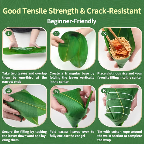 Generic traditional cuisine leaves for wrapping zongzi and dumplings.