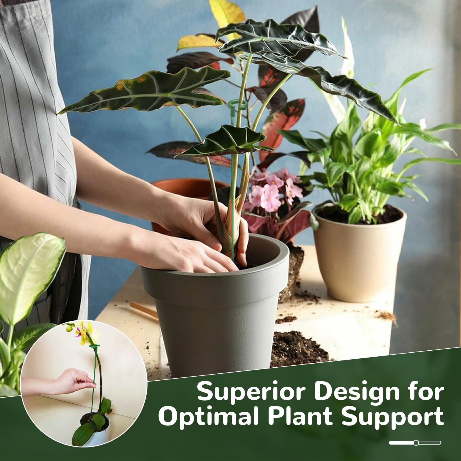 Generic versatile stakes support vines, pots, and flowering plants.