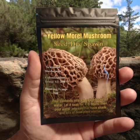 Generic Yellow Morel outdoor cultivation kit for garden beds.