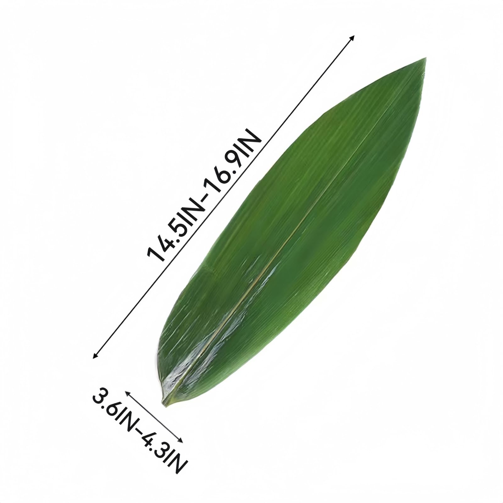Generic zongzi leaves vacuum-packed for authentic wrapping and aroma.