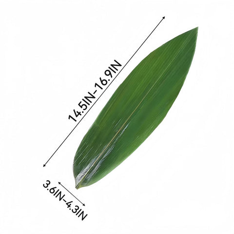 Generic zongzi leaves vacuum-packed for authentic wrapping and aroma.