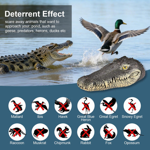 Geniff close-up shows textured resin skin and realistic teeth for lifelike pond decor.