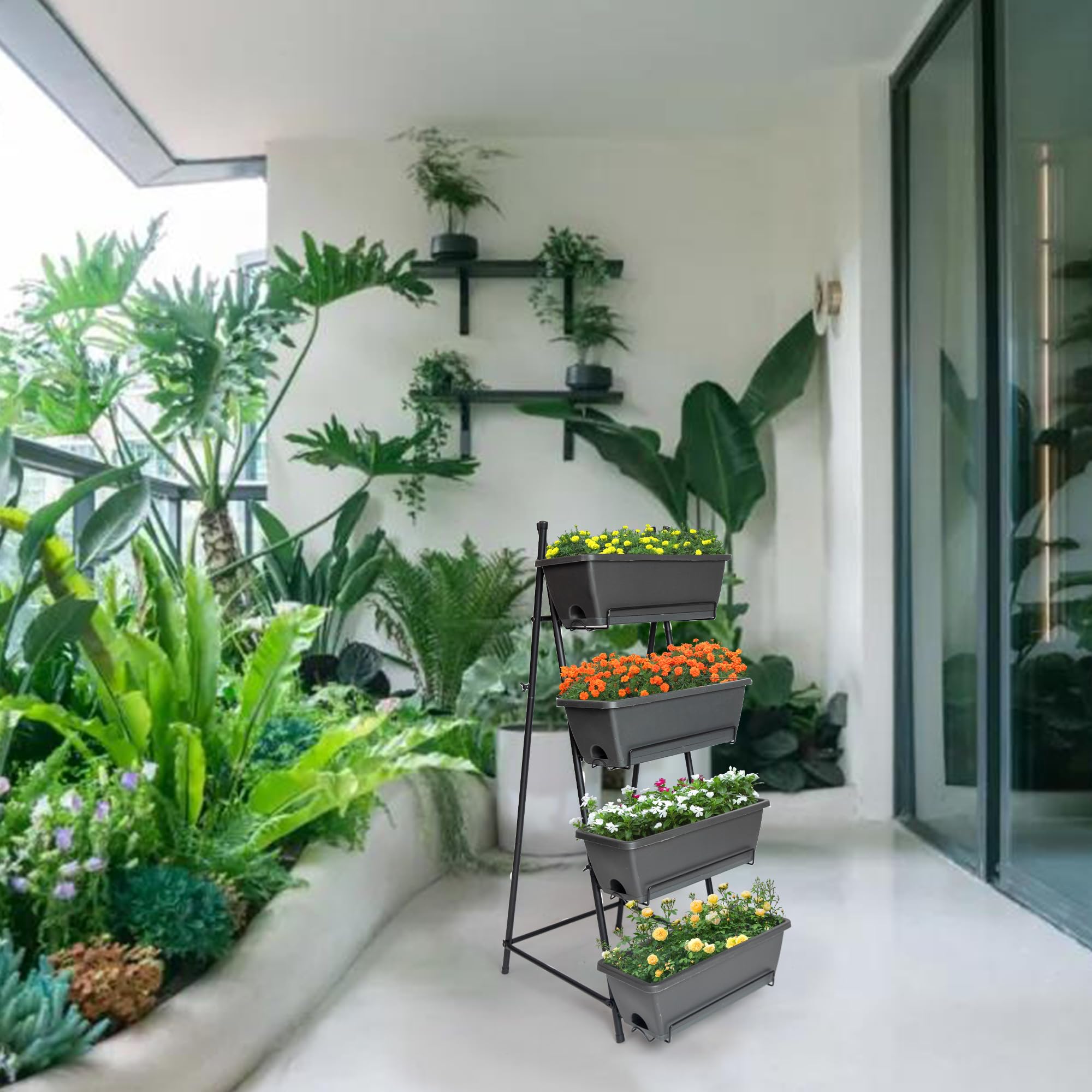 GENMOUS & CO. four pots supporting diverse plants and blooms.