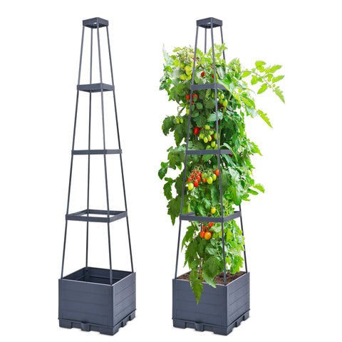 GENMOUS & CO raised garden bed with trellis enabling vertical tomato growth on a sunny patio