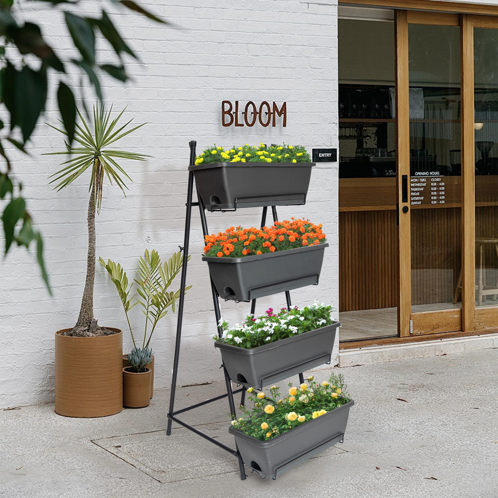 GENMOUS & CO. removable tray simplifies watering and drainage.