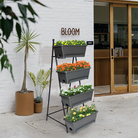 GENMOUS & CO. removable tray simplifies watering and drainage.